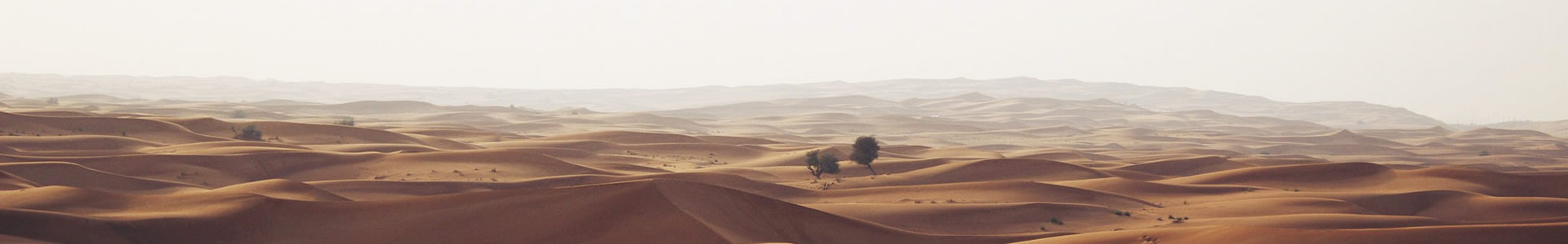 ݿԽó޹˾